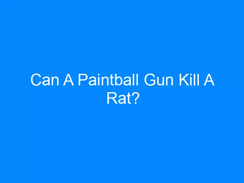 Paintball Gun and its story about it.