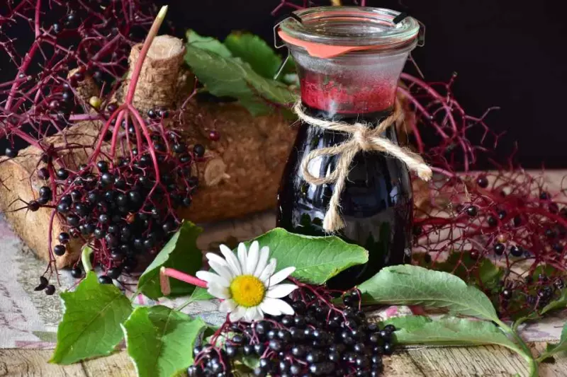 Top 10 best immunity booster food – A way to Increase the immunity