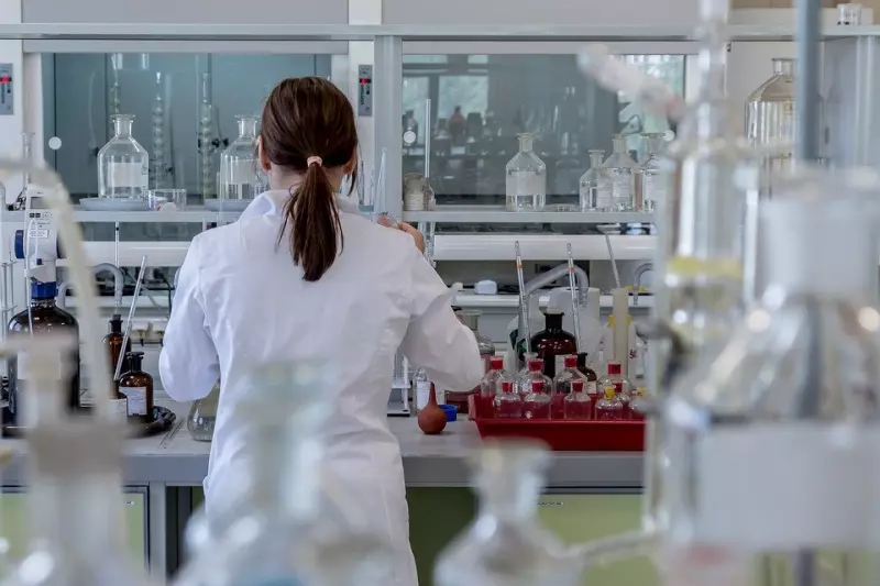 Complete Overview of Assay Validation On Meso Scale Discovery (MSD) ELISA ECL Assay
